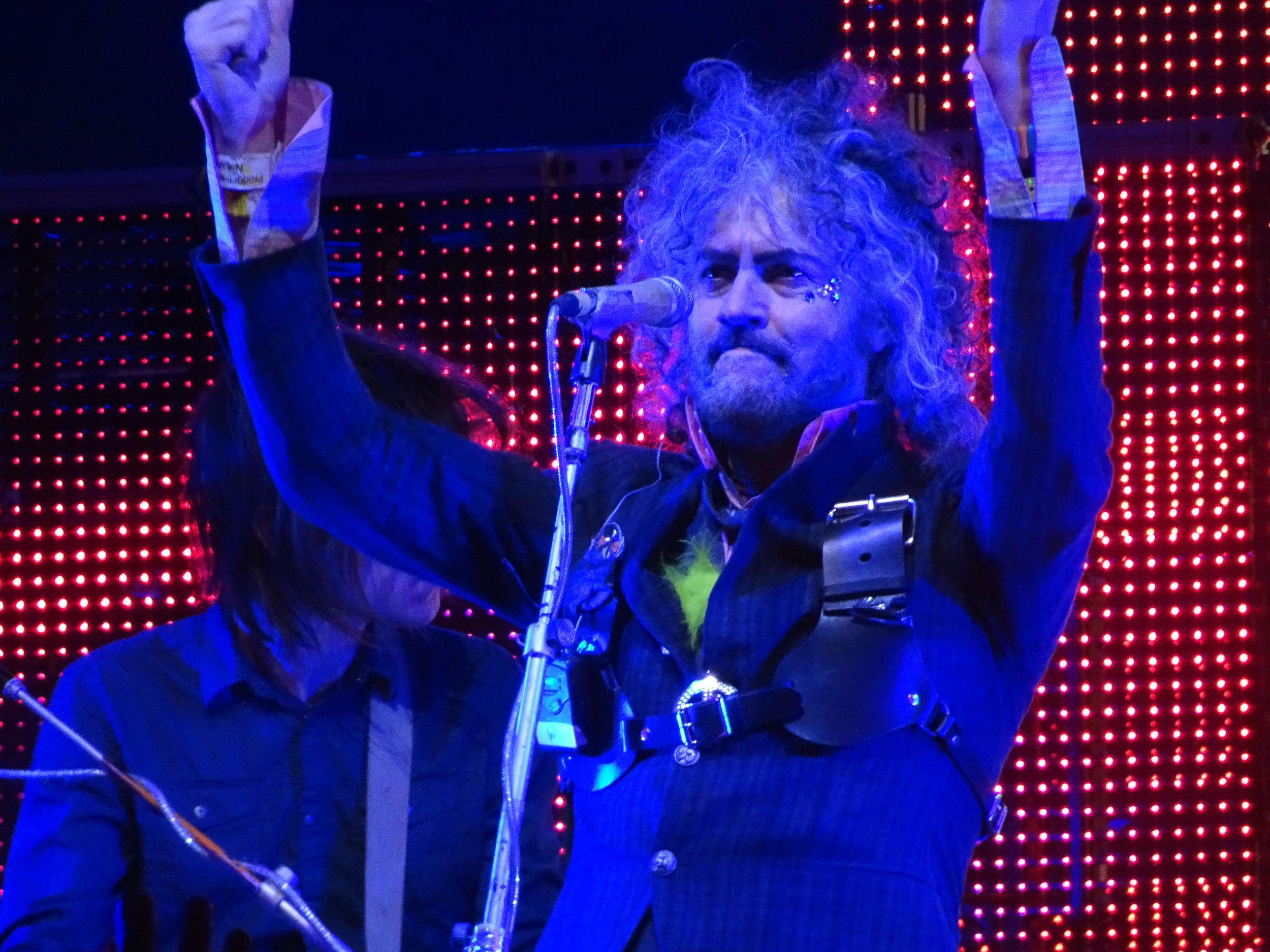 Wayne Coyne